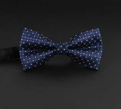 Butterfly Cravat Bowtie