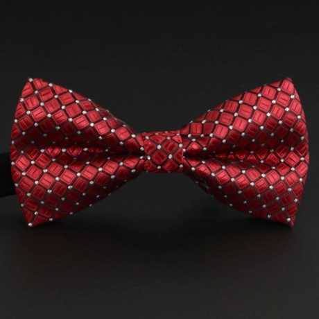 Butterfly Cravat Bowtie